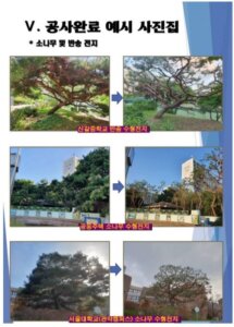 업체 소개 이미지 3