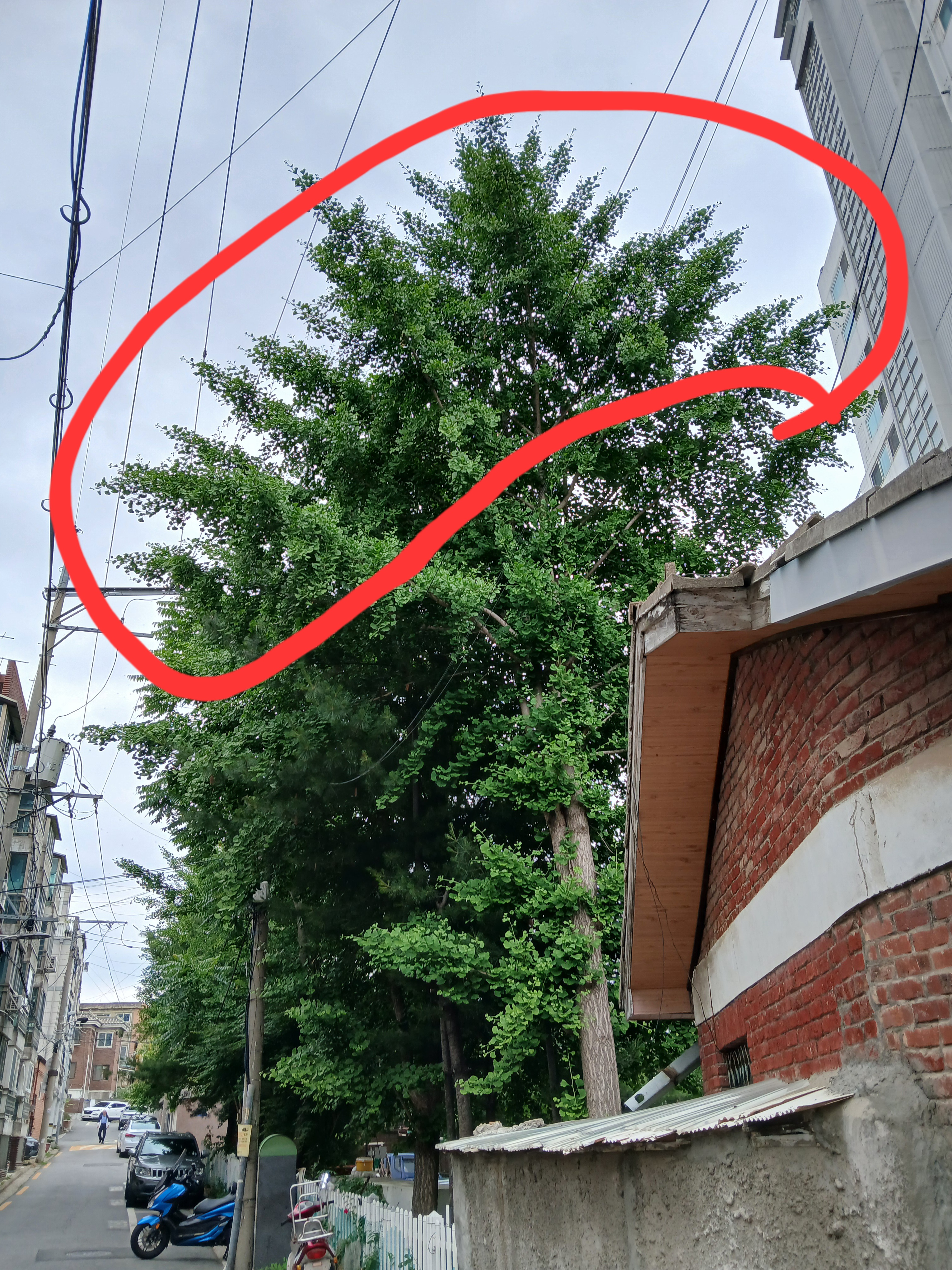 문의 이미지